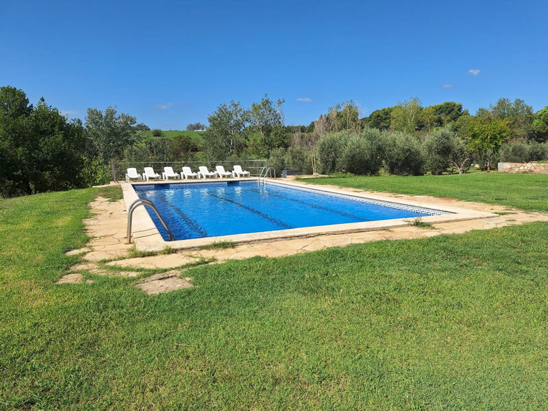 Finca el Olivar