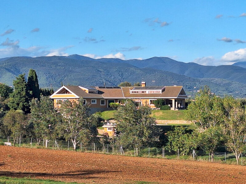 Finca el Olivar
