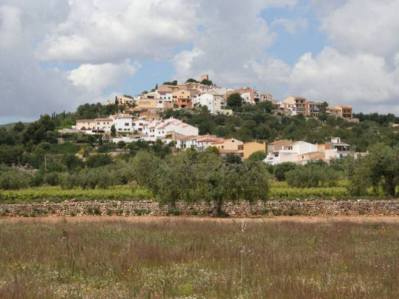 Els Cups, casa rural