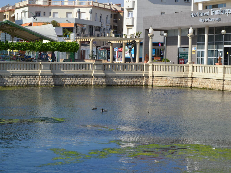 Els Cups, casa rural