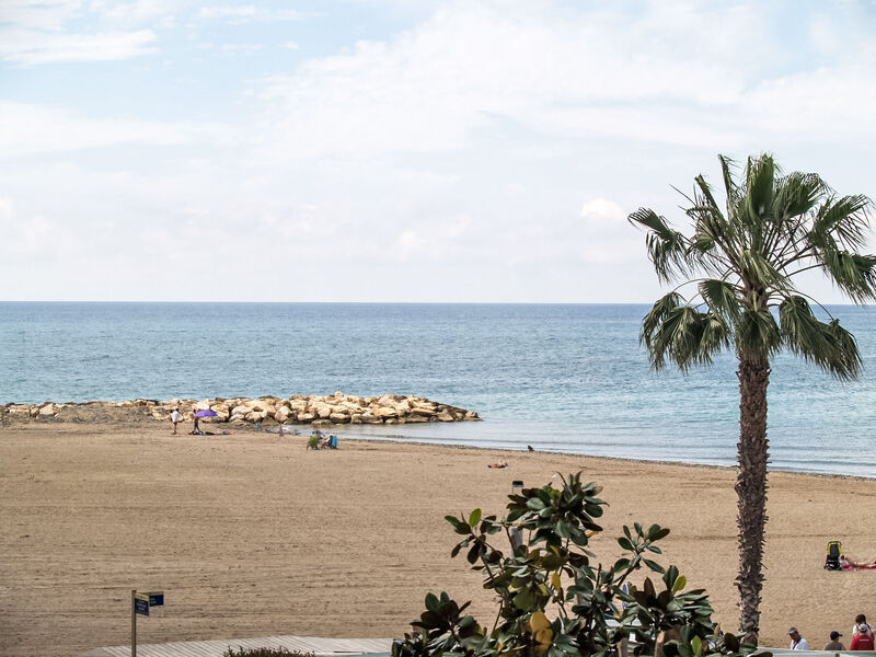 Horta Del Mar