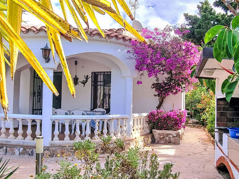Sueño II
