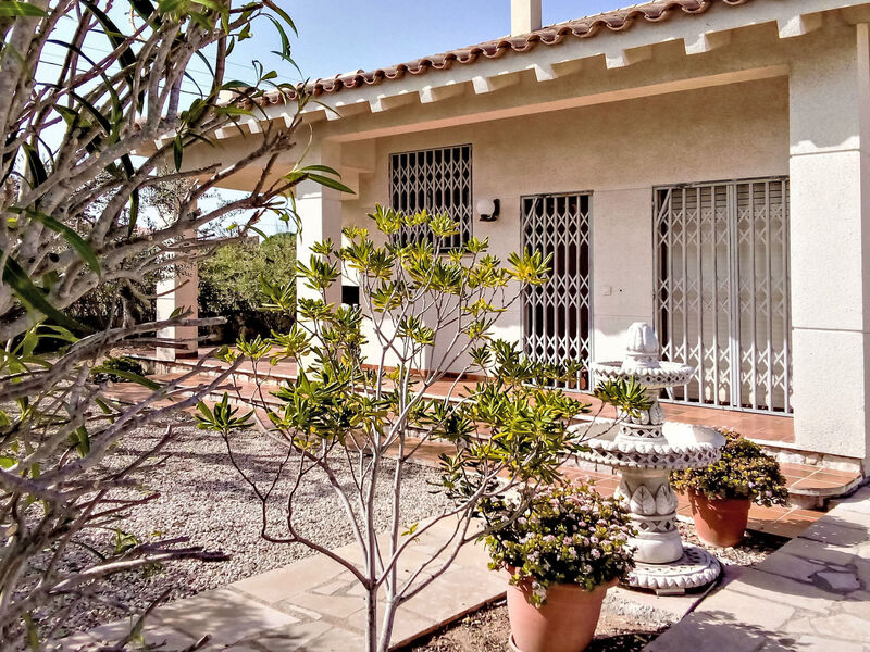 Palmera I