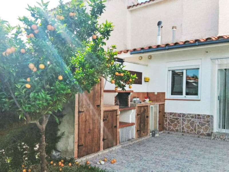 Palmera III