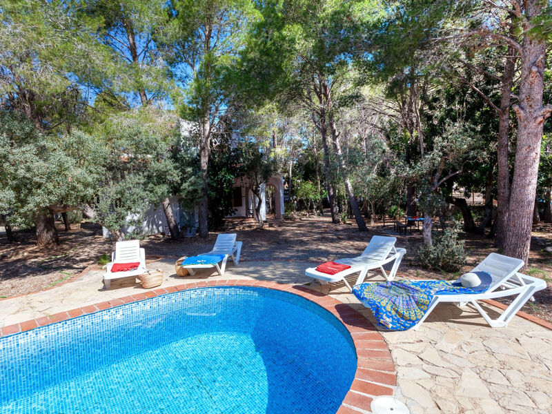 Vila Pinos