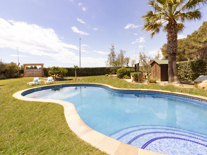 El Jardi