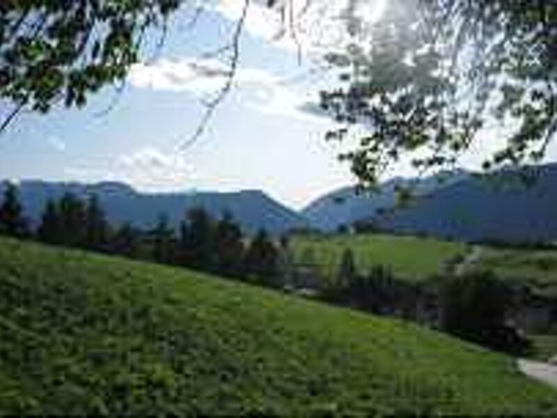 Hotel Stella delle Alpi Wellness & Resort