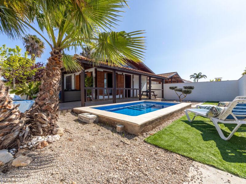 Tropical 4