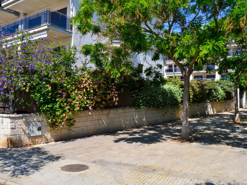 Vila Del Far
