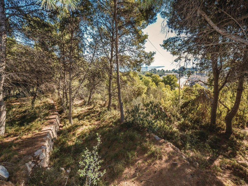 Torre Morralla