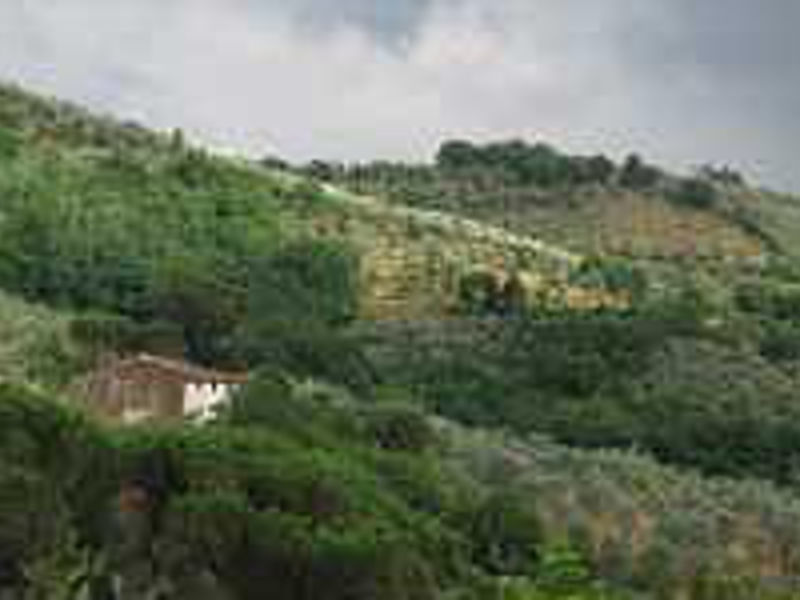 Hotel Villa Maria