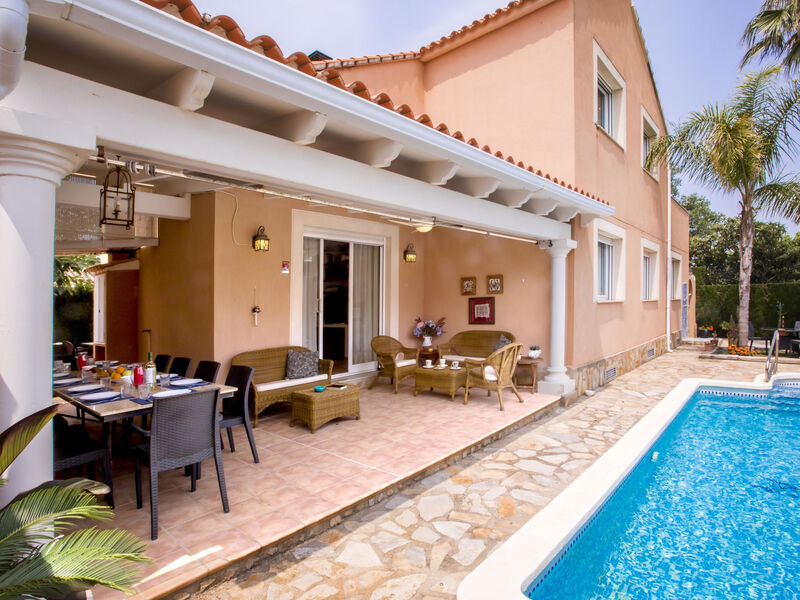 Larauri Oliva Nova