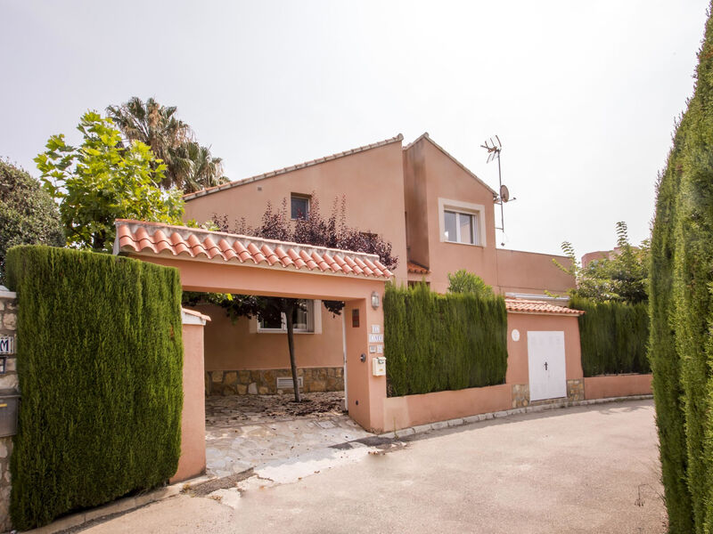 Larauri Oliva Nova