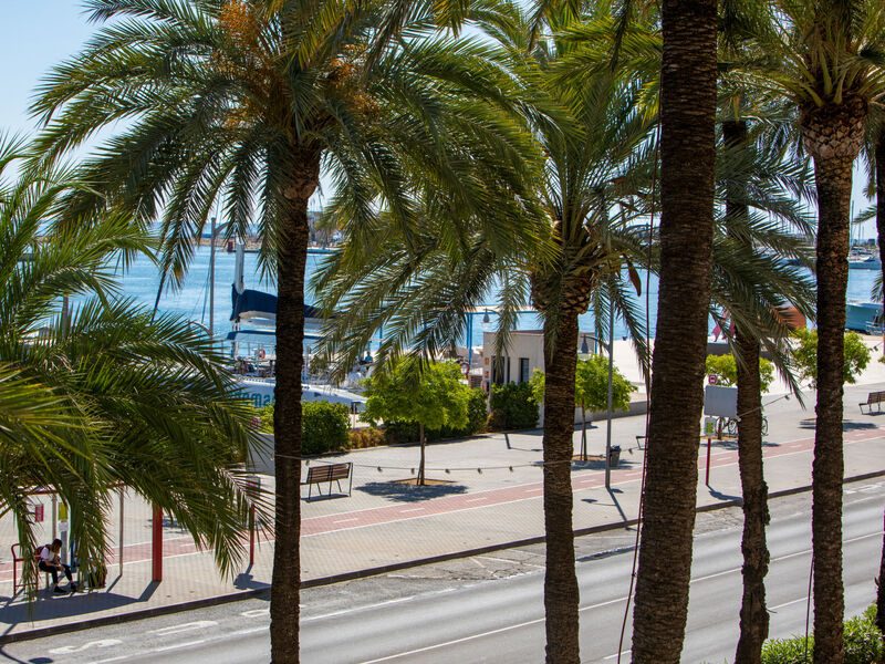 Puerto Denia Cervantes