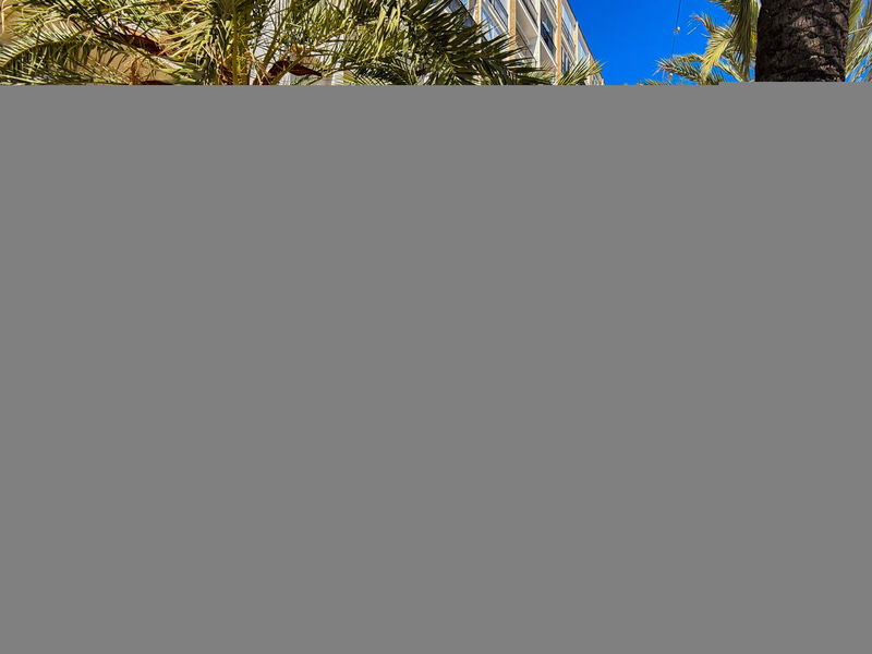 Puerto Denia Cervantes