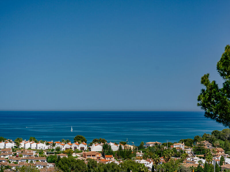 Vargas