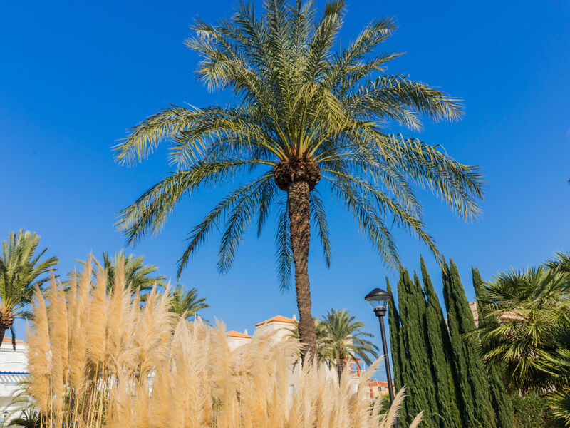 Cala Blanca Denia