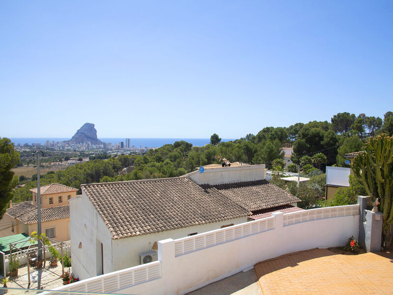 Panorama View