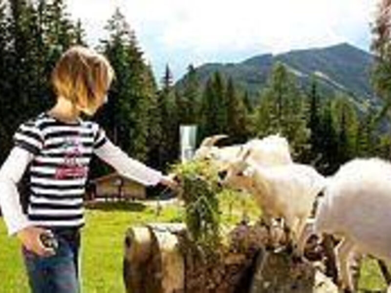 Almdorf Reiteralm mit seinem Almhotel Edelweiss