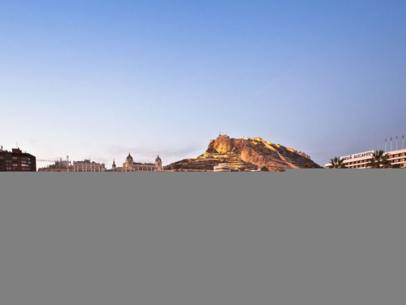 APART. GRANDE Y LUMINOSO EN EL CENTRO DE ALICANTE