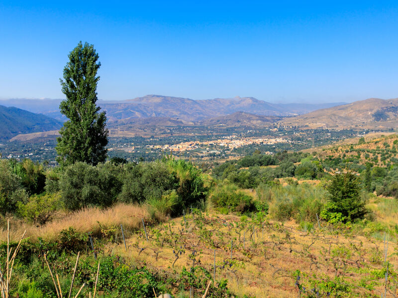 El Cerrillo