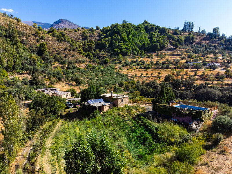 El Cerrillo