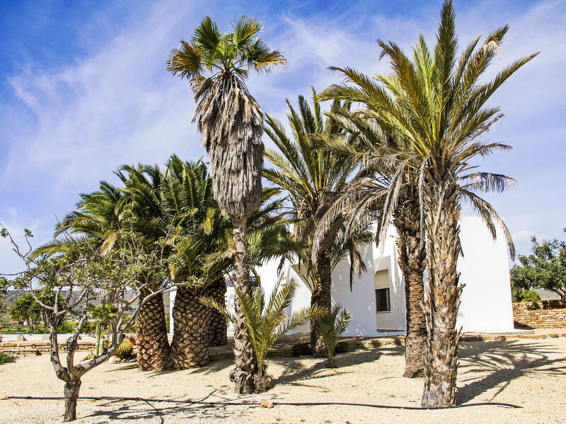 Finca La Veleta
