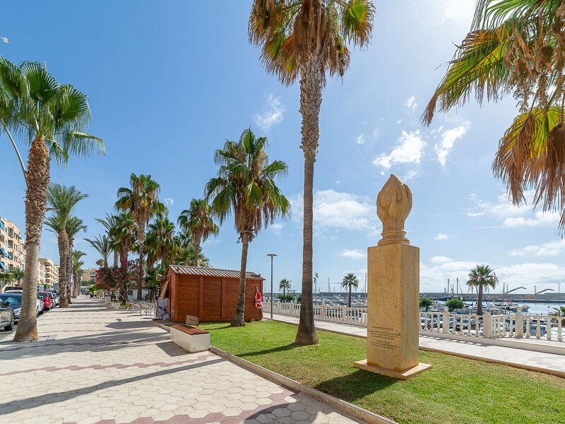 Las Terrazas V