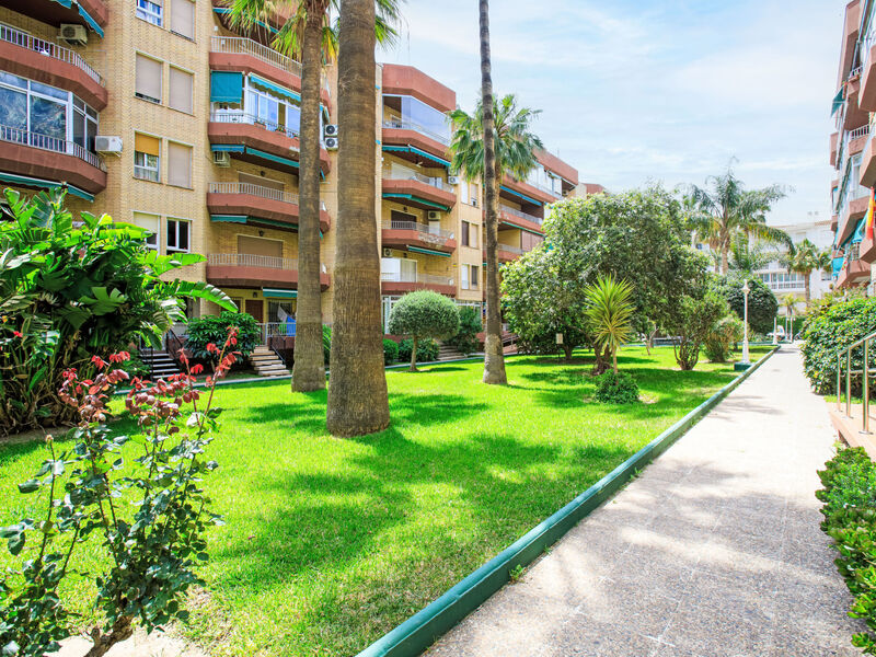 La Najarra