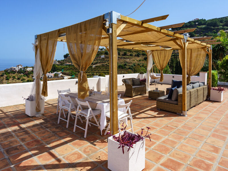Camelia Blanca