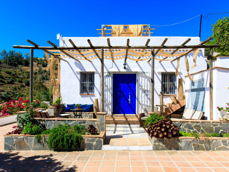 Camelia Blanca
