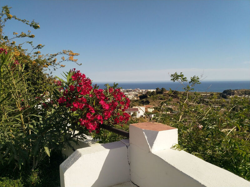 Finca Guay