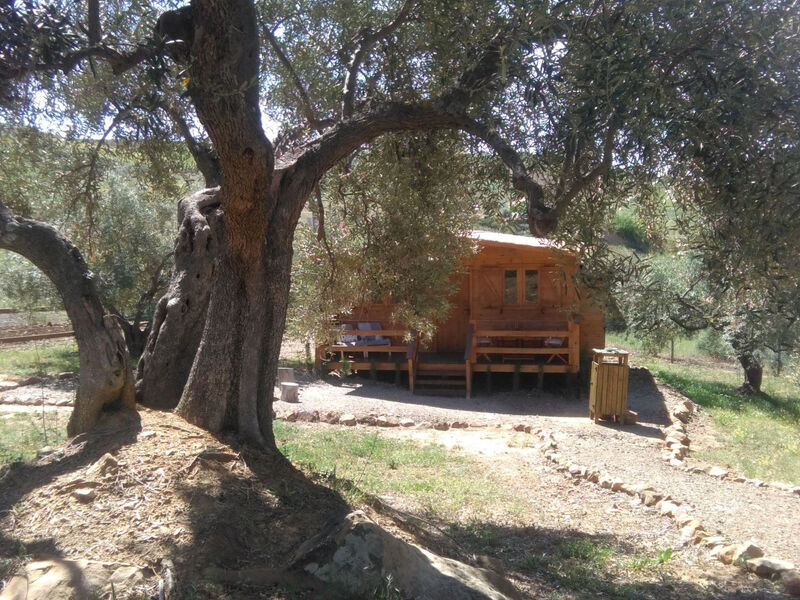 Objekt ES5486.642