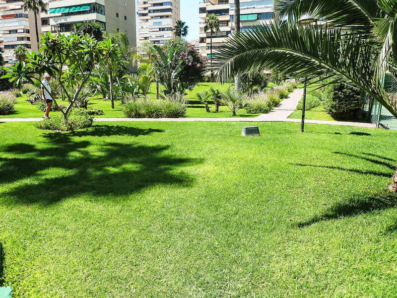 Playamar