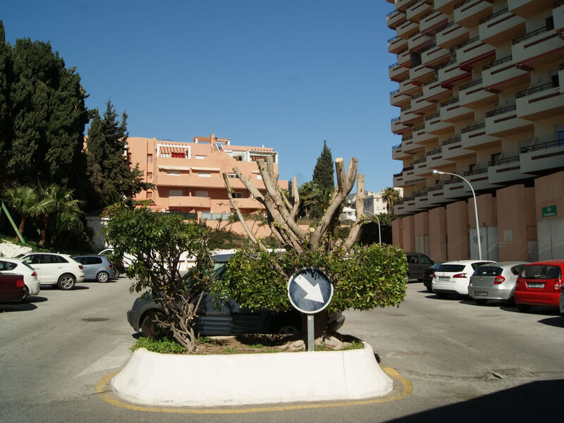 Duquesa