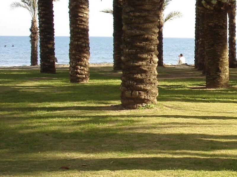 Ideal für Telearbeit vom Strand aus