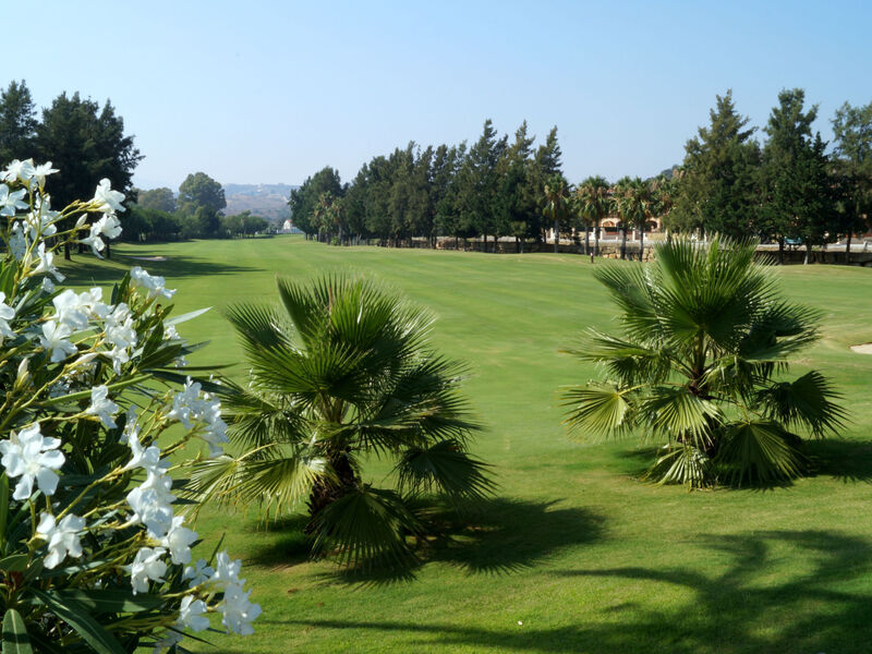 Navigolf