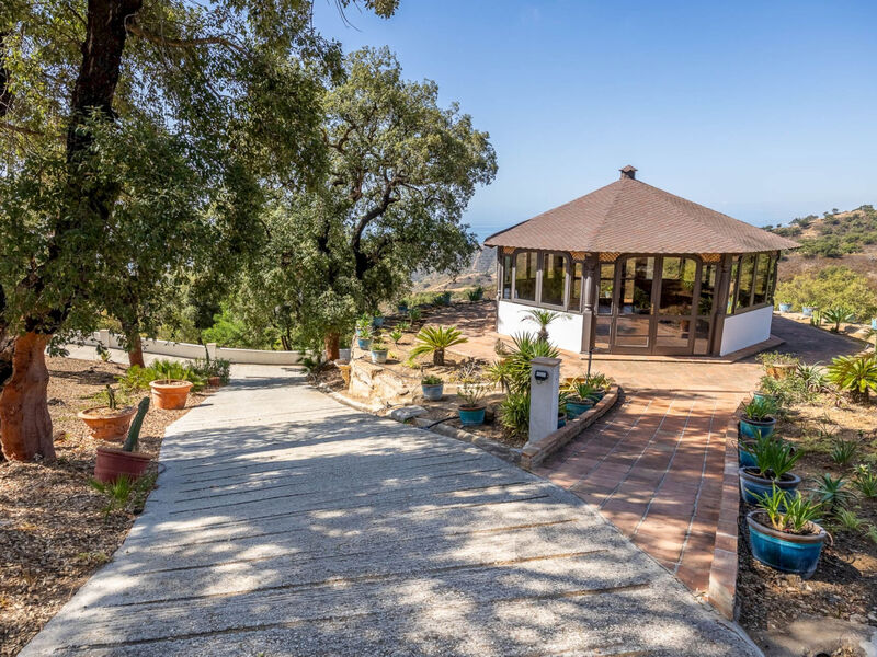 Serena Marbella