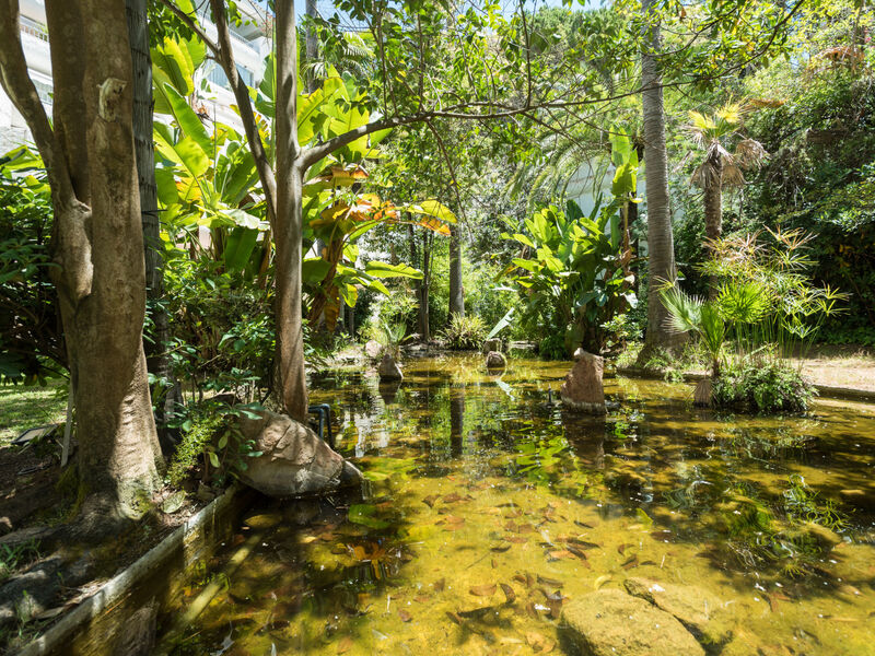 Jardines Del Mar