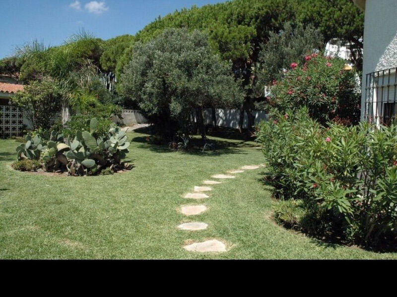 Tortugas