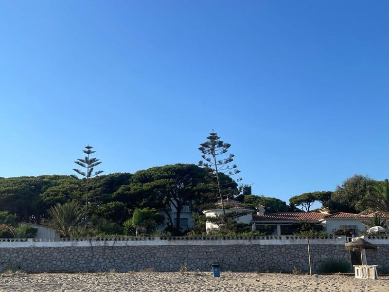 Tortugas