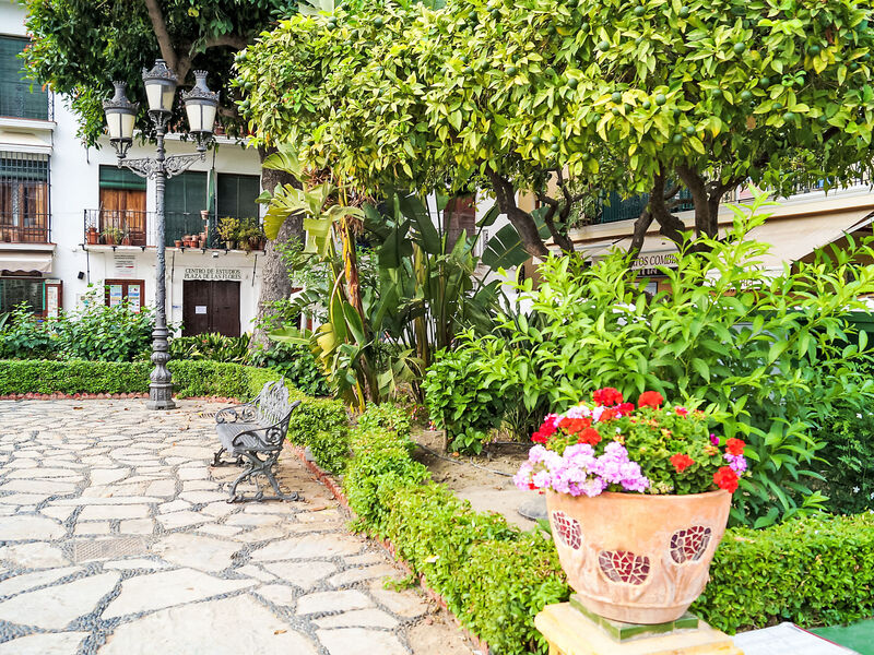 Plaza De Las Flores