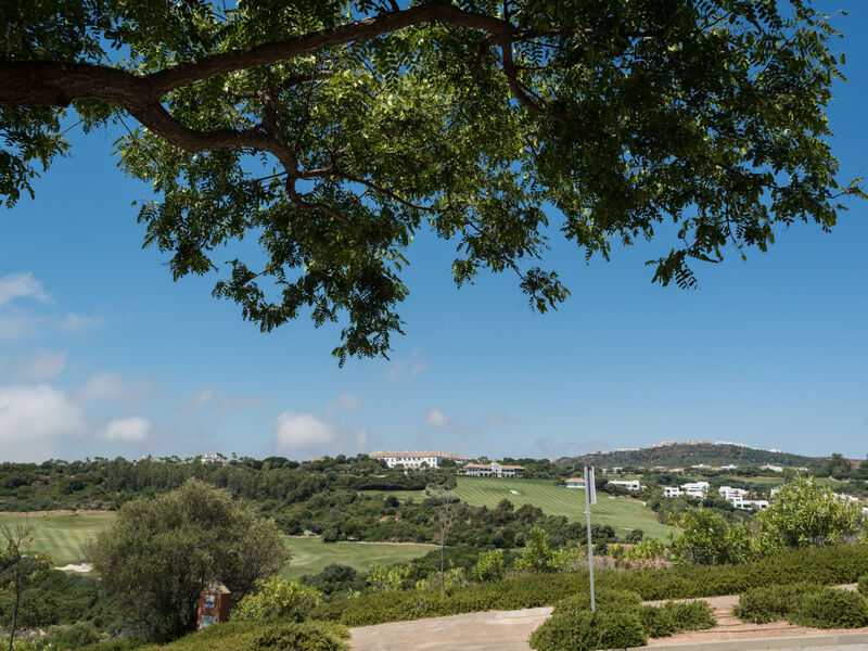 Cortesin
