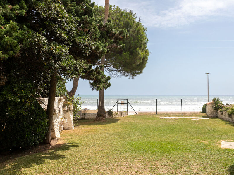 First Line Arena Beach