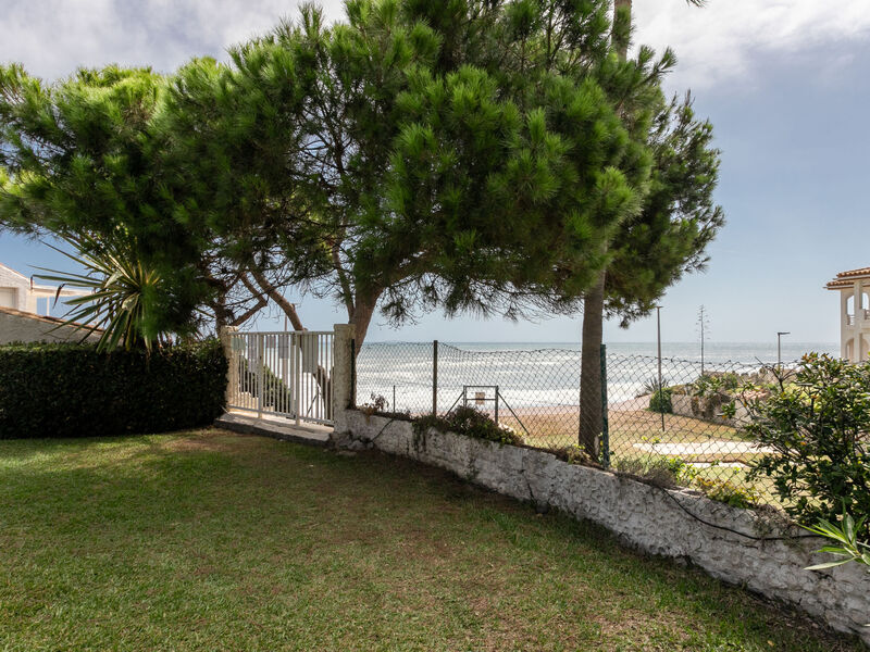 First Line Arena Beach