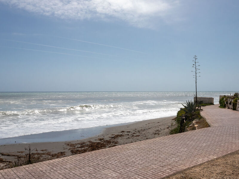 First Line Arena Beach