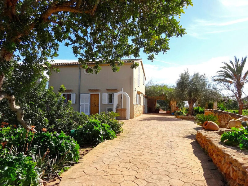 Casa Cha-Cha
