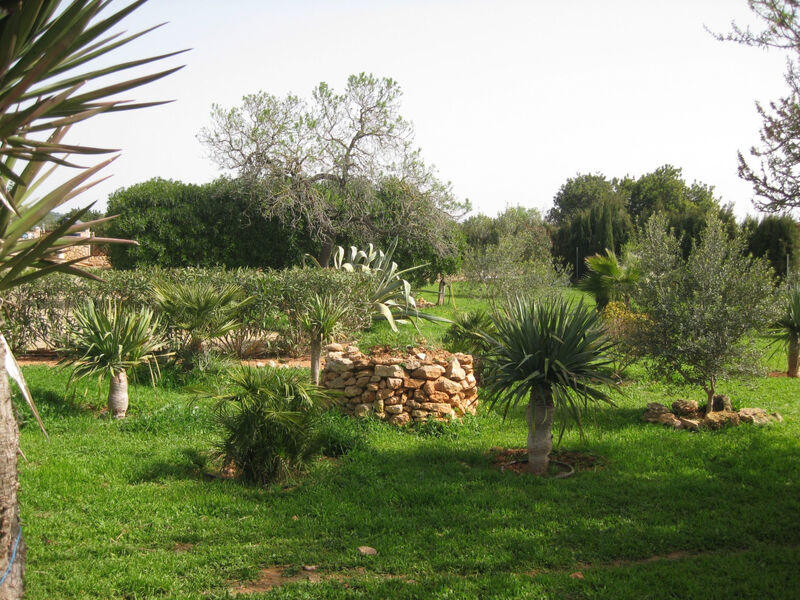 Objekt ES8125.625