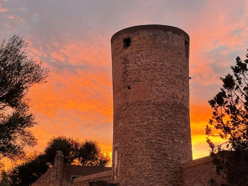 Moli de sa Cova
