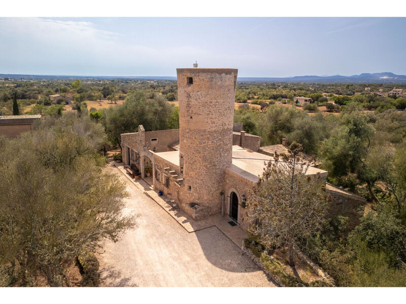 Moli de sa Cova